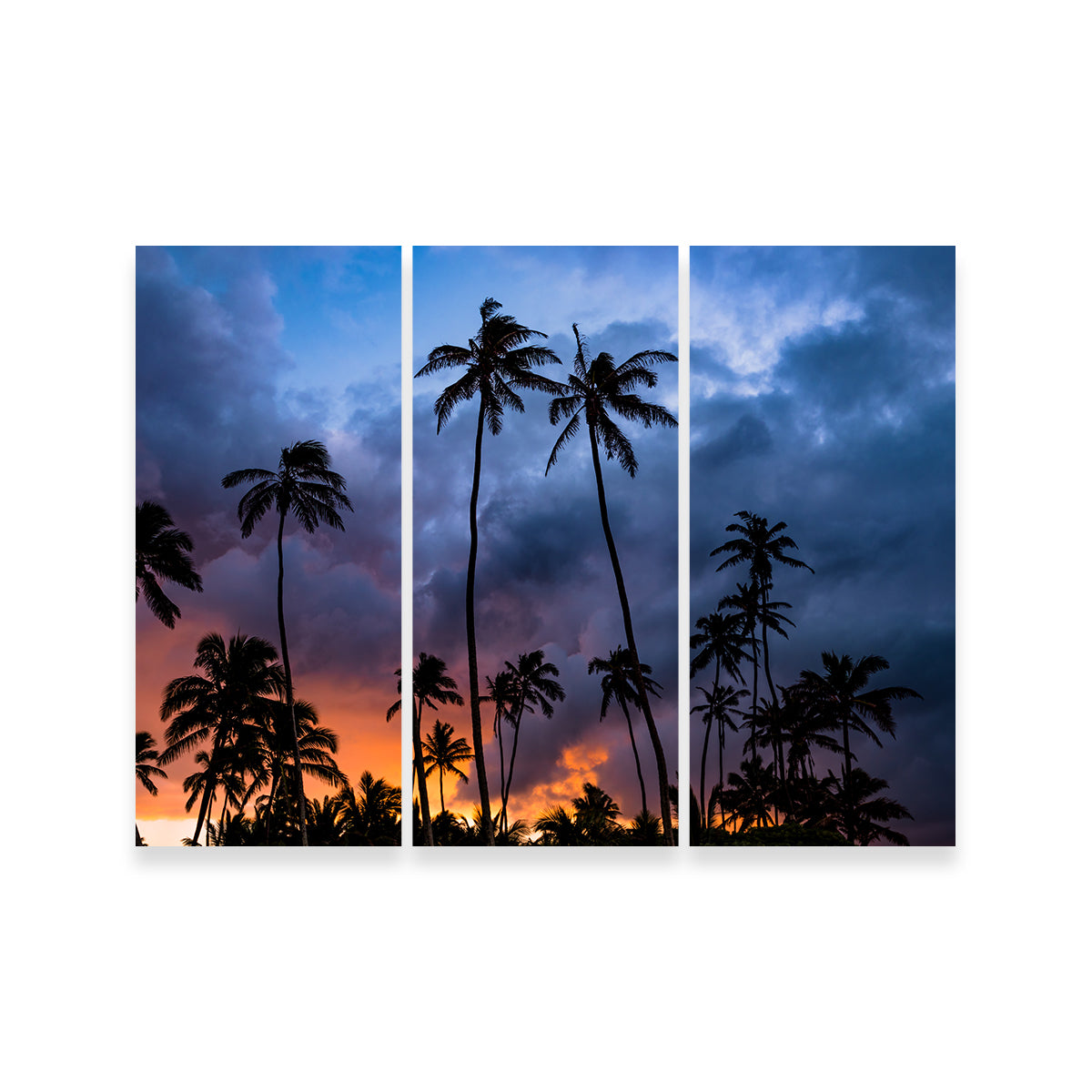Stunning Fire in the Sky Wall Art by Lucas Moore