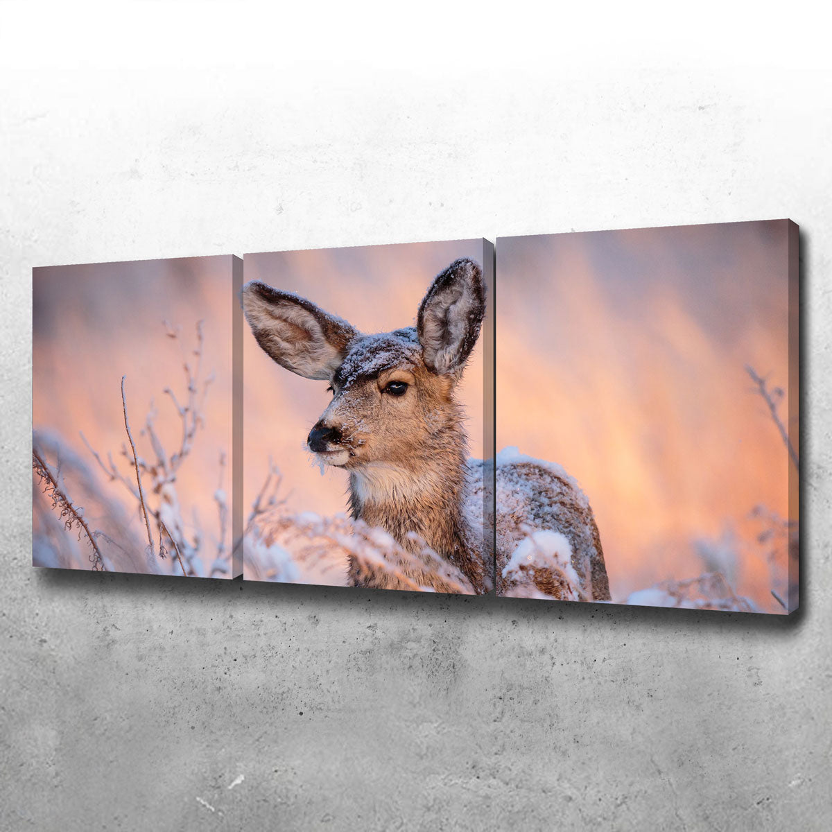 Stunning Colorado Doe Wall Art for Your Home Decor