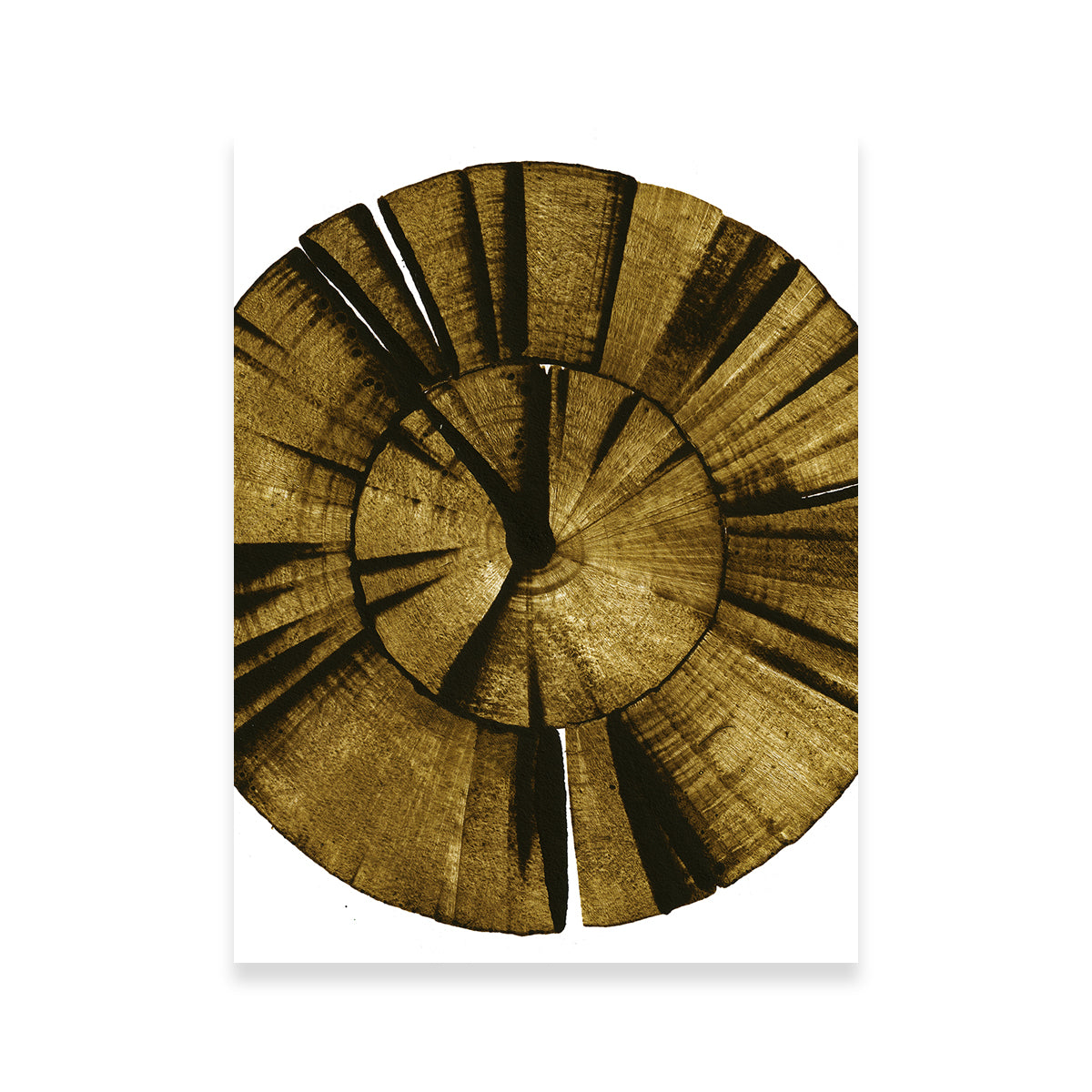 Exquisite Wooden Spiral Wall Art by Evgeny Vetrov