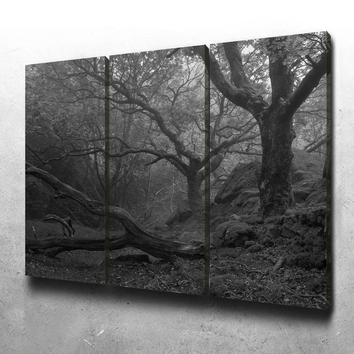 Stunning Thick Roots Wall Art by Mike Cotton