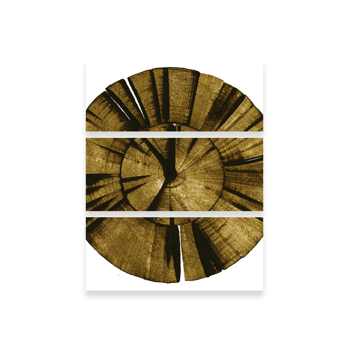Exquisite Wooden Spiral Wall Art by Evgeny Vetrov