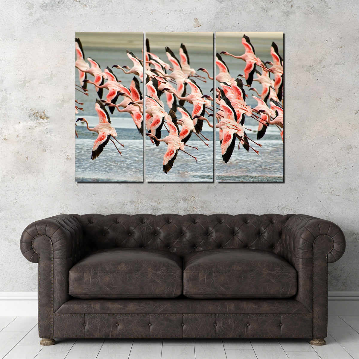 Exquisite Flamingos in Tanzania Wall Art for Your Home Decor