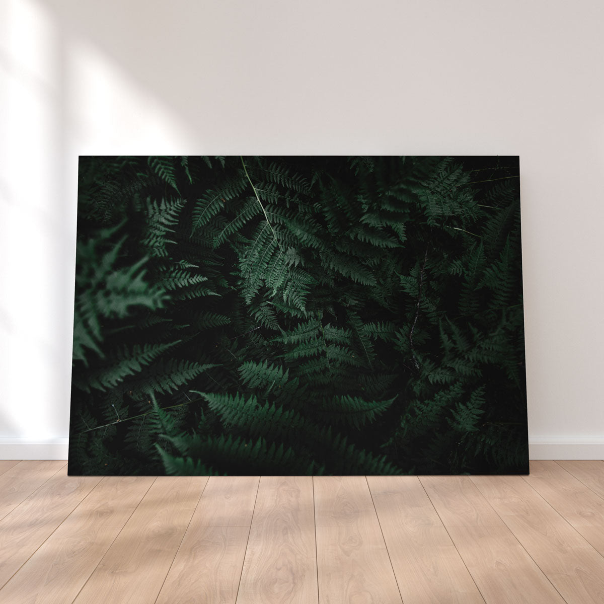 Stunning Ferns Wall Art by Lucas Moore