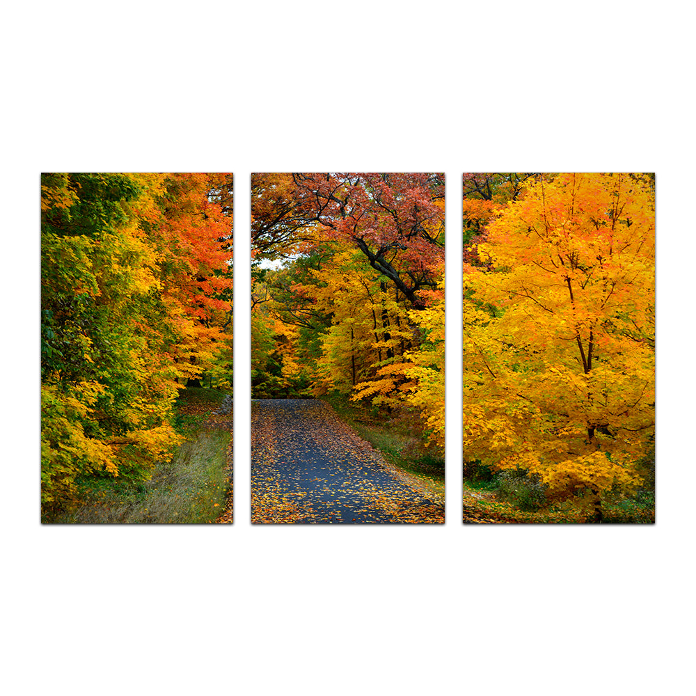 Breathtaking Lake Geneva Wisconsin Fall Road Wall Art for Stunning Home Decor