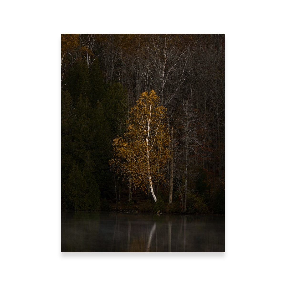 Stunning Moody Vermont Morning Wall Art by Dennis Maida