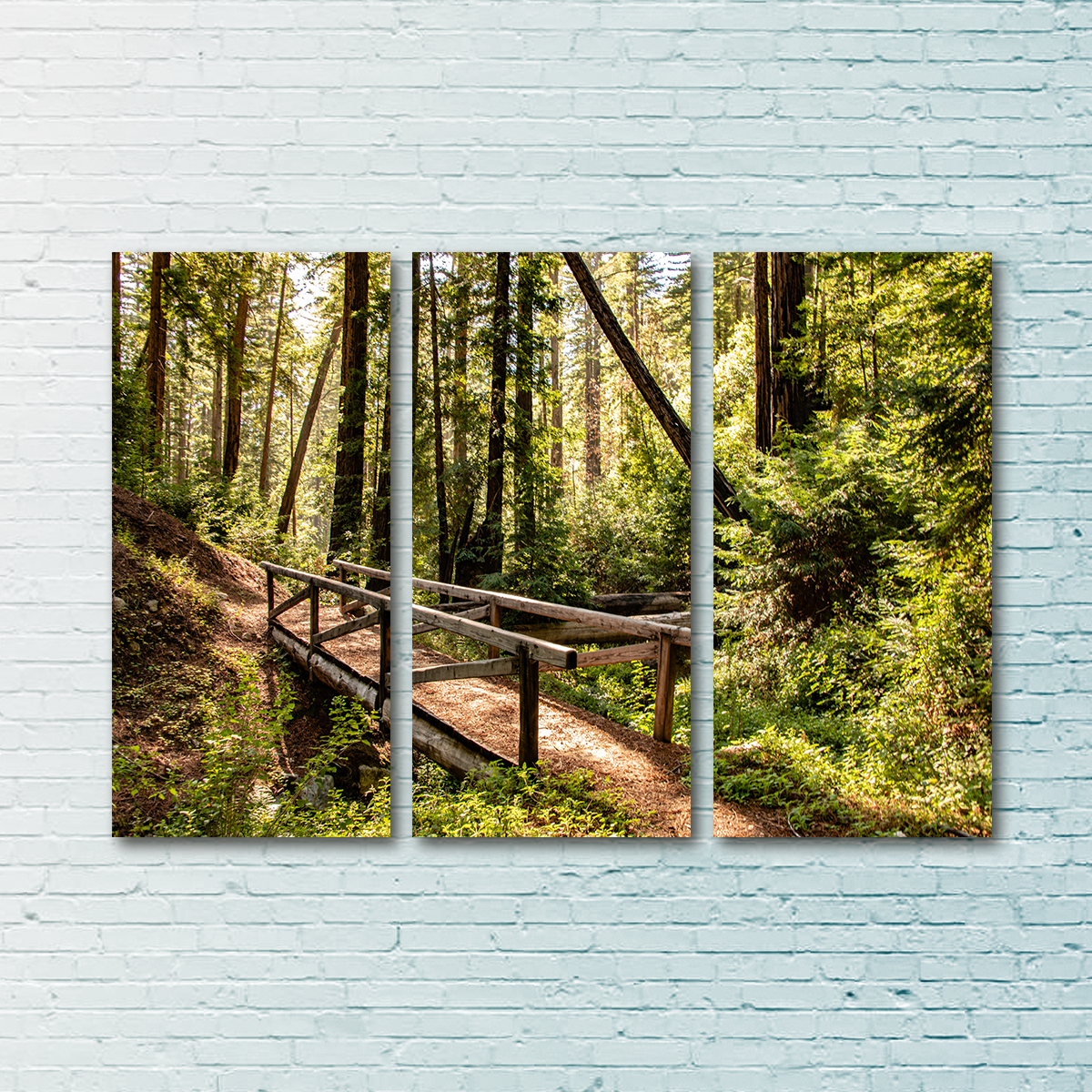 Stunning Ewoldsen Trail Bridge Wall Art by Kyle Sherry