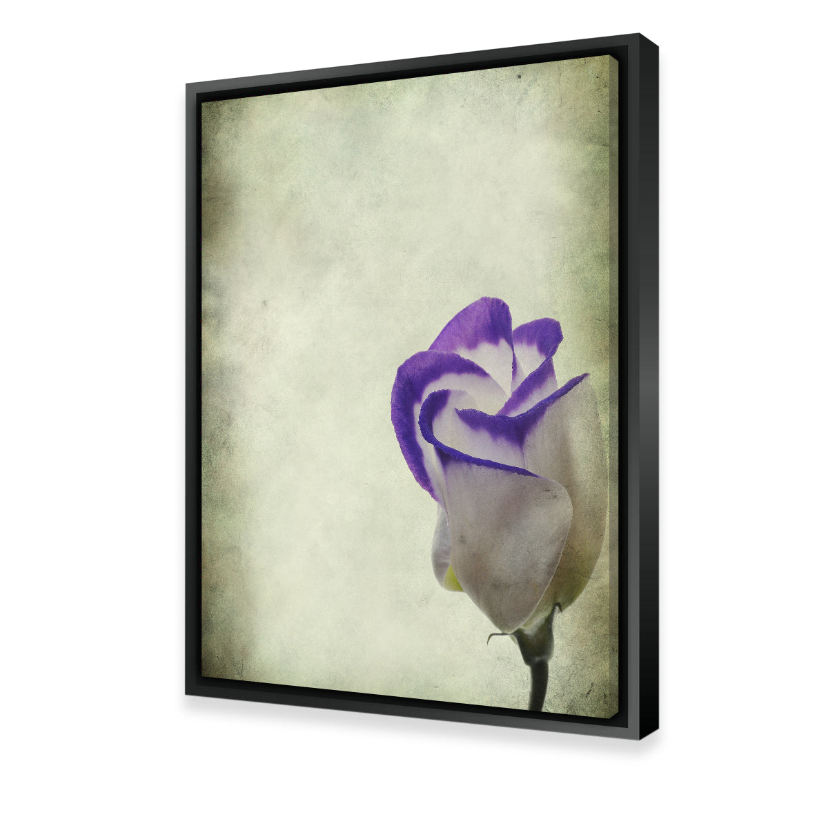 Stunning Vintage Lisianthus Wall Art for Home Decor